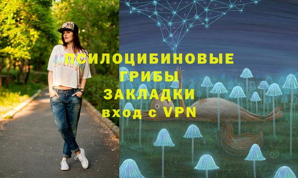 гидропоника Новодвинск