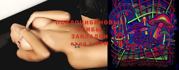 ECSTASY Новозыбков