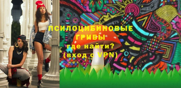 гидропоника Новодвинск