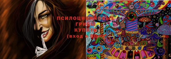 ешки Новокубанск