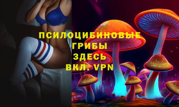молекула духа Алексин