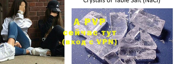 ECSTASY Новозыбков