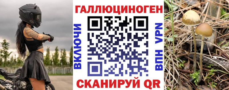Псилоцибиновые грибы мухоморы  дарк нет состав  Сортавала 